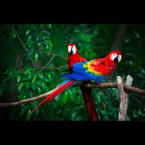 Meet your Posher, Edgar